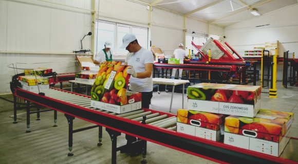 Take a Fruit inwestuje w innowacje BIZNES, Media i PR - Firma specjalizująca się w dystrybucji świeżych owoców i warzyw do firm oraz instytucji uruchomiła nowoczesną linię do konfekcjonowania produktów, skonstruowaną i wyprodukowaną przez radomską firmę SORTER.