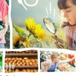 Tesco i Garden of Words nagrodzone Złotym Spinaczem za działania edukacyjne