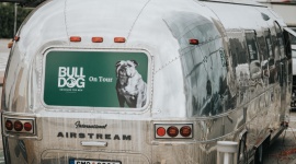 BULLDOG ON TOUR