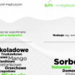 Jakie lody wybierają polscy internauci – infografika Mint Media i Brand24