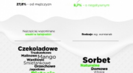 Jakie lody wybierają polscy internauci – infografika Mint Media i Brand24