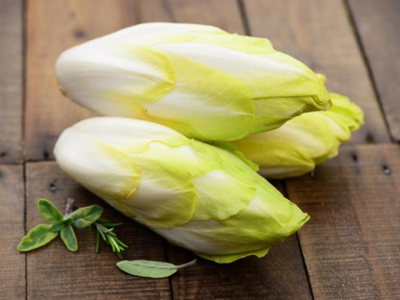 Cykoria – niedoceniane warzywo o świetnych właściwościach BIZNES, Media i PR - Sezon na cykorię rozpoczyna się w Polsce w listopadzie i trwa aż do kwietnia. Mimo ogólnej dostępności, nie cieszy się dużą popularności i jest rzadko wykorzystywana w kuchni. Czas to zmienić, ponieważ jest niezwykle bogatym źródłem witamin i minerałów.