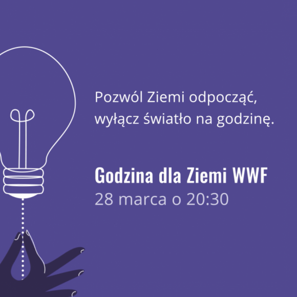 Jet Line i MyLED dołączają do akcji Godzina dla Ziemi WWF BIZNES, Media i PR - Agencje reklamowe Jet Line i MyLED wspólnie włączyły się do akcji Godzina dla Ziemi WWF. Od poniedziałku, na ekranach MyLED oraz witrynach MORE w Warszawie rozpocznie się emisja specjalnie przygotowanego na tę okazję spotu.