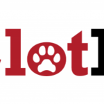 CLOTIT NOWYM KLIENTEM AGENCJI FACE IT!
