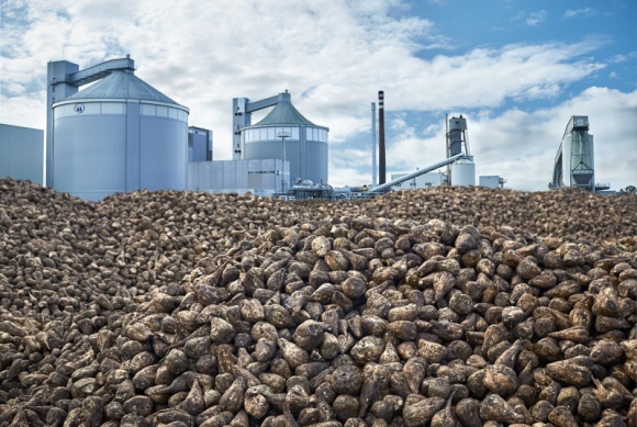 Podsumowanie kampanii buraczanej w cukrowniach Pfaifer & Langen w Polsce Przemysł spożywczy, BIZNES - Styczeń, jak co roku kończy w cukrowniach grupy Pfeifer & Langen w Polsce kampanię buraczaną, czyli proces przerobu buraków cukrowych pochodzących z polskich pól.